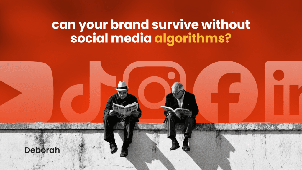 social media algorithms